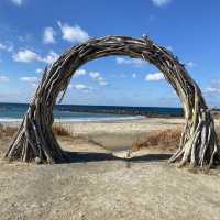 【福岡】糸島観光はサイクリングがオススメ