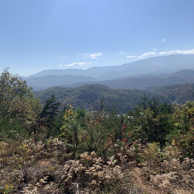 🥾 hiking by waterfall in Asheville 🥾 