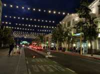 Charming Santa Monica Pier 