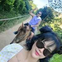 I YANGSHOU SO MUCH! 