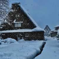 Snow Magic in Shirakawa-go