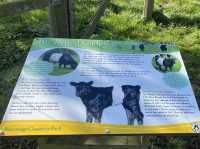 Beecraigs Country Park