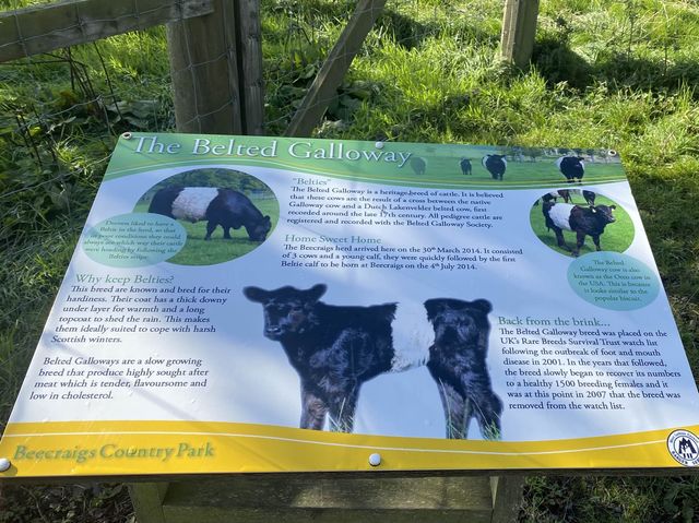 Beecraigs Country Park