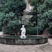 Botanical greenery of Tbilisi