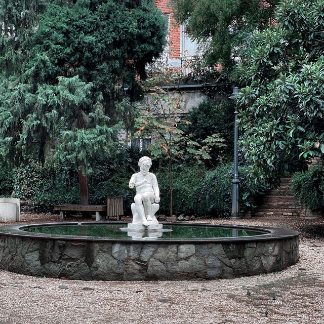 Botanical greenery of Tbilisi