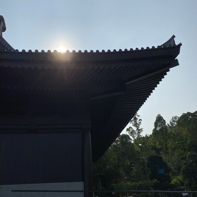 Hidden gem in Hong Kong! Tsz Shan Monastery