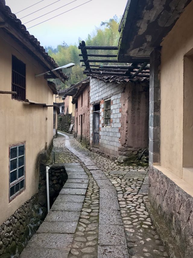 산중의 고요한 마을, 대갱촌(大坑村)