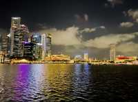 Light it up Singapore! Oh so colorful!