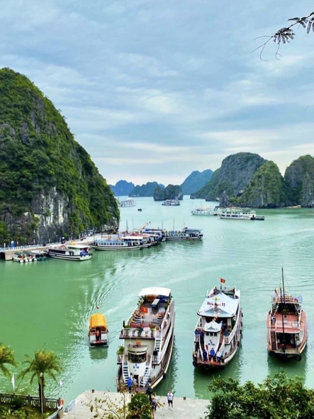 Halong Bay Cruise 💚🚢