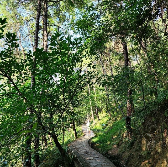 Nanshan scenic area 🇨🇳 Chongqing 