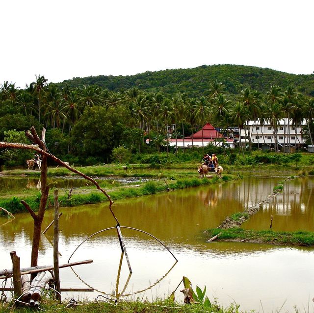 Samui Island, Thailand 