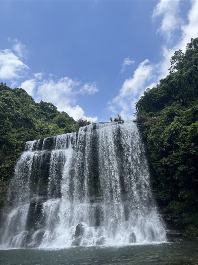 Thousand Waterfalls Floating Strings "Gentleman Orchid"