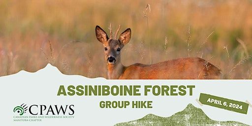 Group Hike on Sagimay Trail through Assiniboine Forest - 11 am | Assiniboine Fores