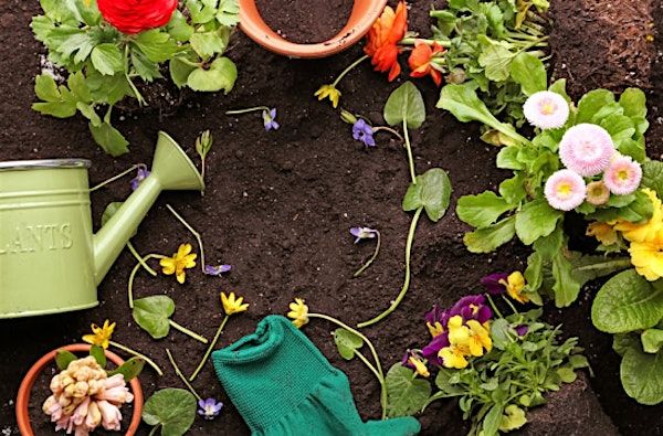 Garden Planning Series: Soil Prep & Planting | Back to Basics: Urban Homesteading