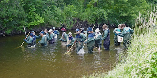 CVC Electrofishing Volunteer Day | Mississauga