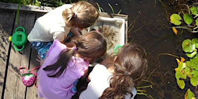Pond Dipping at Kingsbury Water Park | Kingsbury Water Park