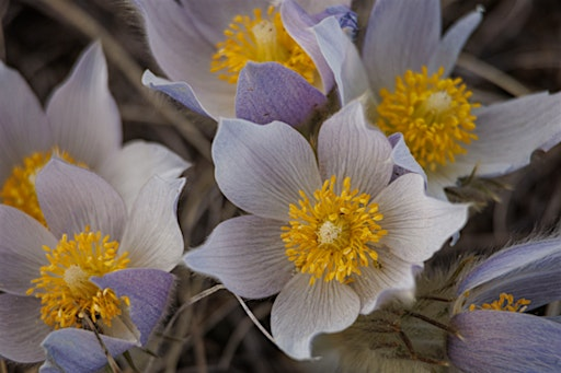 On the Road With Mike Drew | 1130 3 St SE