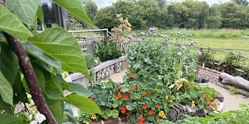 Wildlife Gardening for Beginners talk - Sutton Courtenay, Thursday 23 April | Sutton Courtenay Environmental Education Centre