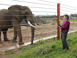 Voices for Elephants: An Evening of Music & Conservation | Pacific Opera Victoria & Baumann Centre
