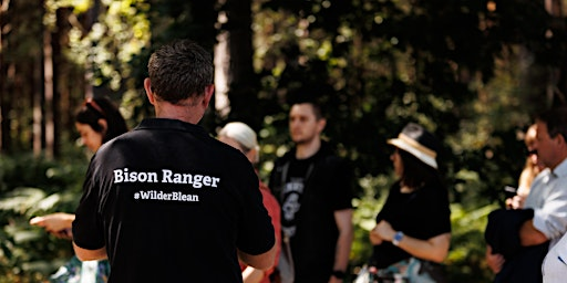 Bison Ranger Experiences: A Morning at West Blean | West Blean and Thornden Woods