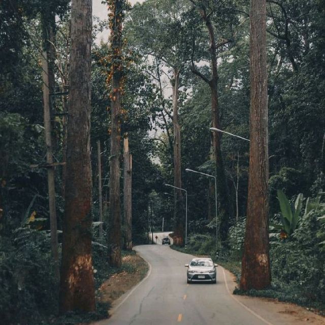 เชียงดาว  จังหวัดเชียงใหม่