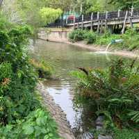 Lorong Halus wetland park 