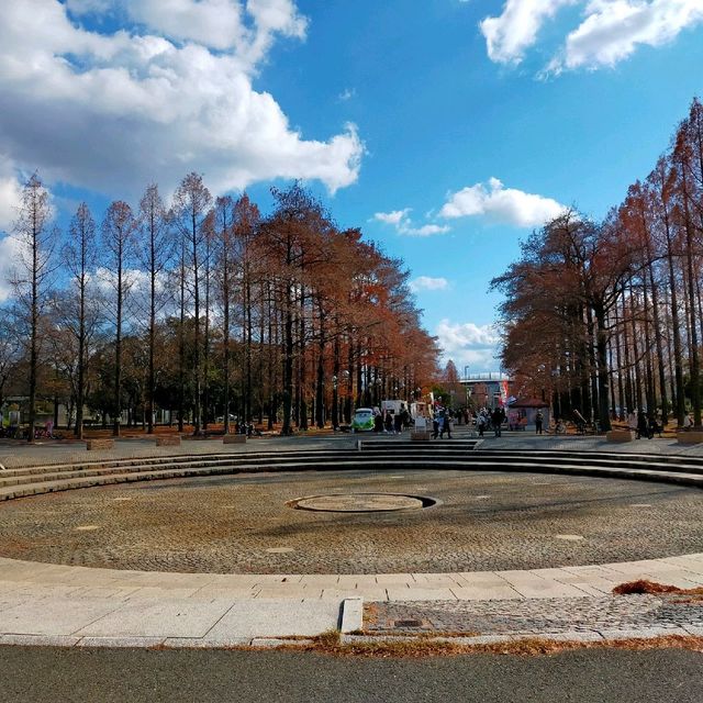 【大阪 鶴見区】マルシェに行こう✨✨✨