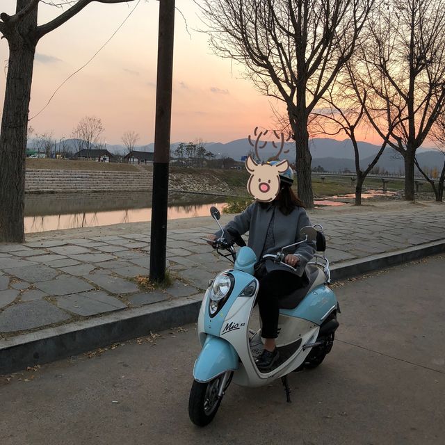 [경주 여행] 경주에서 스쿠터 여행 어떠세요? 