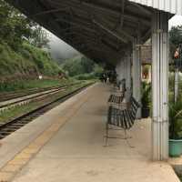 the scenic train ride Nanu Ota-Elle