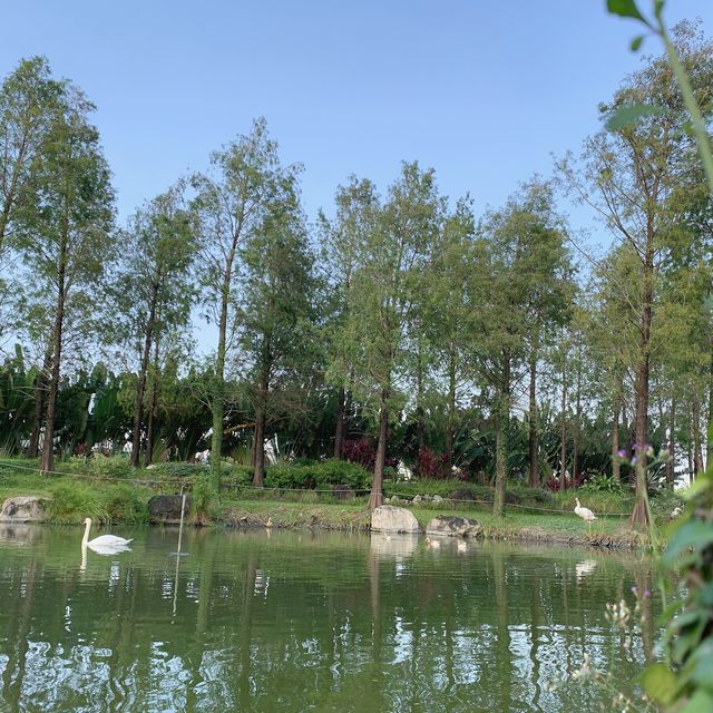 淨園農場-高雄