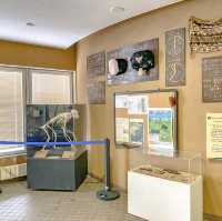 冬の円山動物園・チンパンジー館