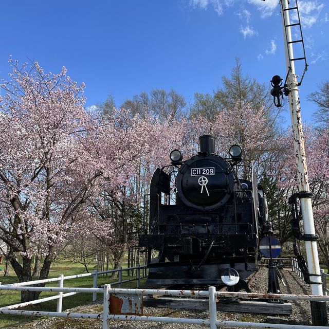 満開の桜！