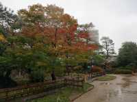 名古屋最大的日式庭園《白鳥庭園》