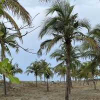 A beachside oasis near Laoag
