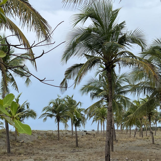 A beachside oasis near Laoag