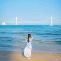 🌊아름다운 푸른바다와 해바라기가 함께하는곳 [부산, 광안리해수욕장/해변공원]🌻