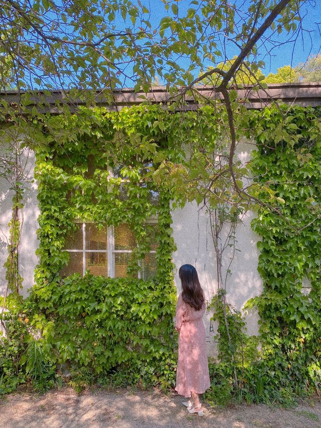 폐교를 개조하여 만든 미술관 ‘당진 아미미술관’ 🏫