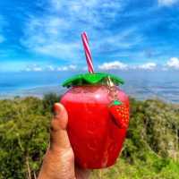 Jerai Hill Strawberry Farm, Kedah