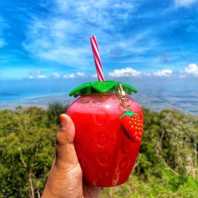 Jerai Hill Strawberry Farm, Kedah