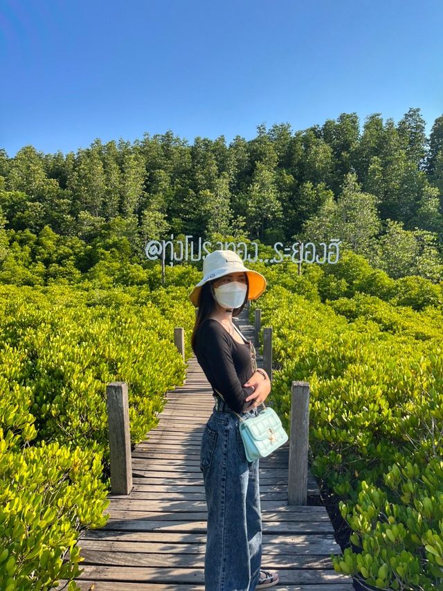 ทุงโปรงทองระยองฮิ 🍃🌳