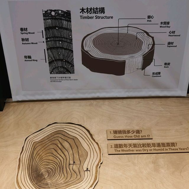 愛護環境，珍惜資源之旅