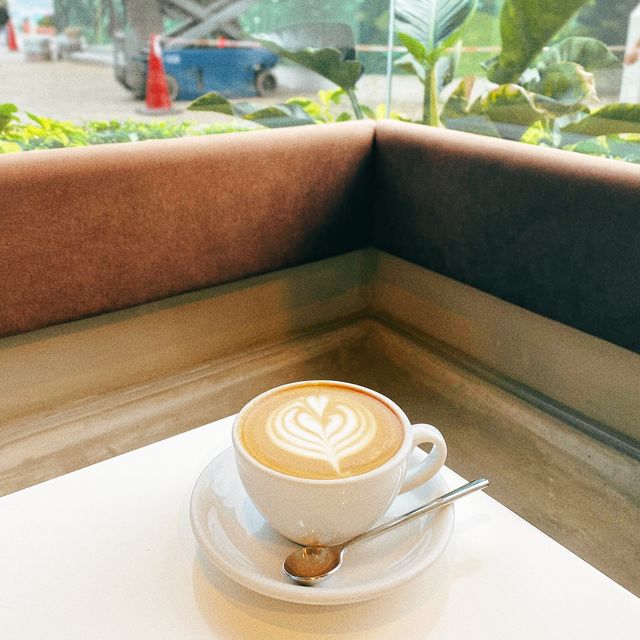 Staycation系列🫶🏻 九龍海逸君綽❣️ x NOC☕️ x 壽司郎🍣