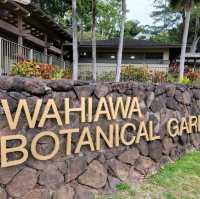 Get Lost in the Calm of Wahiawa