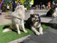 Lam vien square ลานกิจกรรมสุดคึกคัก