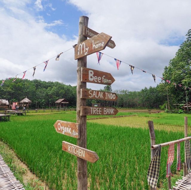 📍ไร่เกษมสุข .. 🍃🌳