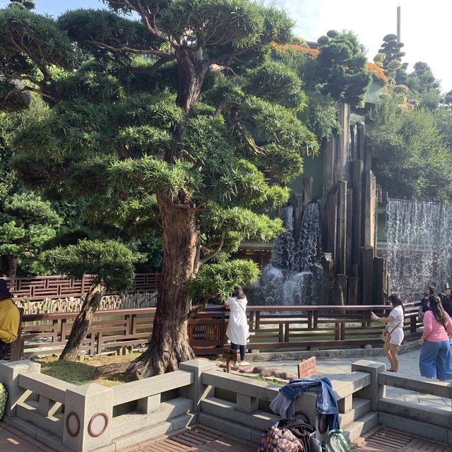 日式園林美景,鬧市中的心靈靜逸休憩地方:南蓮園池&志蓮淨苑 日式園林美景,鬧市中的心靈靜逸休憩地方:南蓮園池&志蓮淨苑