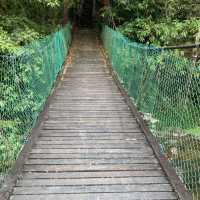 キャメロンハイランドの中心部から気軽に行けるハイキングコース　Taman Eko Rimba Parit Falls H
