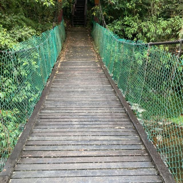 キャメロンハイランドの中心部から気軽に行けるハイキングコース　Taman Eko Rimba Parit Falls H