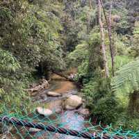キャメロンハイランドの中心部から気軽に行けるハイキングコース　Taman Eko Rimba Parit Falls H