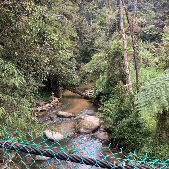 キャメロンハイランドの中心部から気軽に行けるハイキングコース　Taman Eko Rimba Parit Falls H